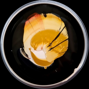 verfblik 12-2024 111859